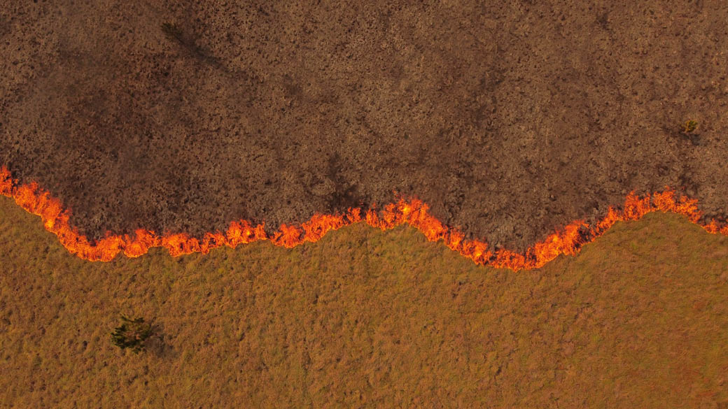En Corrientes, un territorio privilegiado en recursos naturales y cubierto por agua, el fuego lo arrasó todo luego de una sequía histórica.