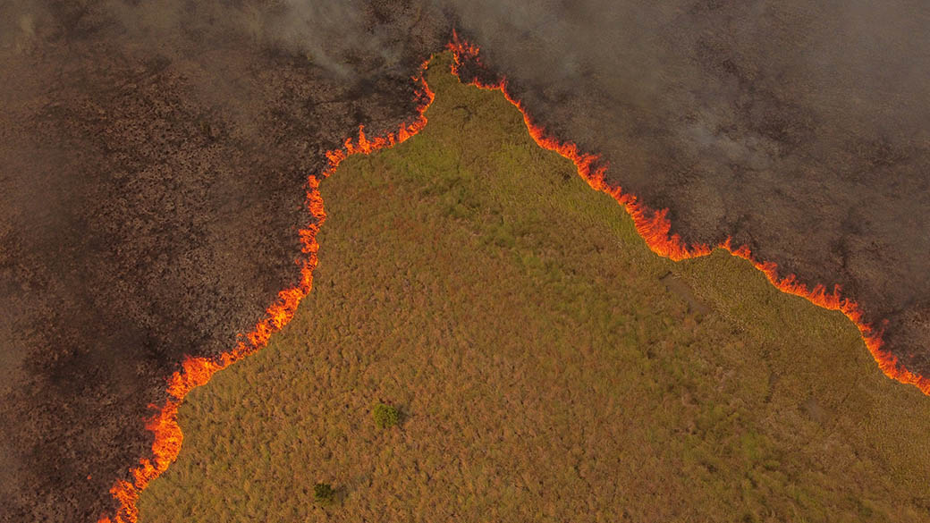 En Corrientes, un territorio privilegiado en recursos naturales y cubierto por agua, el fuego lo arrasó todo luego de una sequía histórica.
