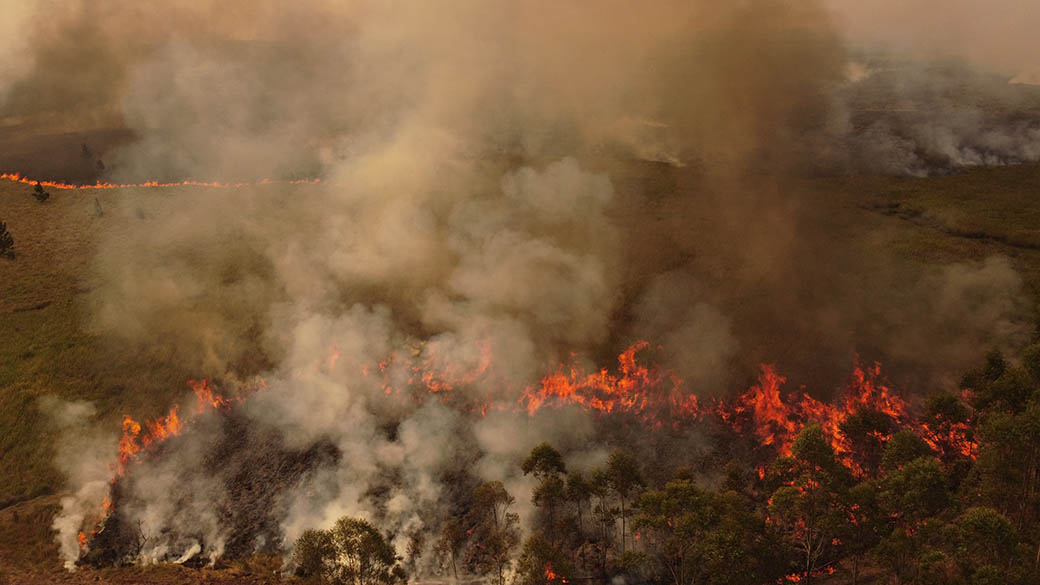 Se incendia “Yerbalito” el bosque de selva paranaense mas grande del Iberá.  