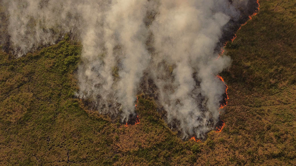 Se incendia parte del estero la Maloya